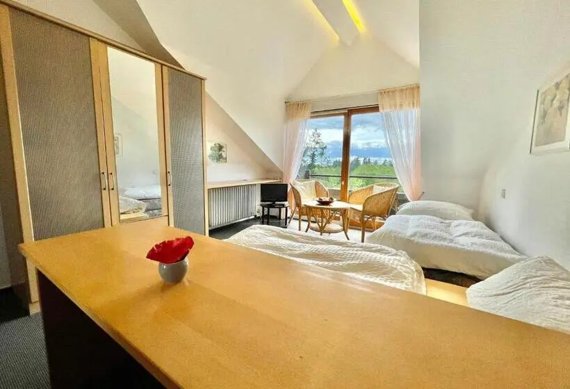 スタンダードルーム, Pension Linz