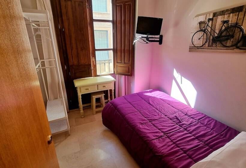 Chambre Standard Individuelle, Hostal El Olivo