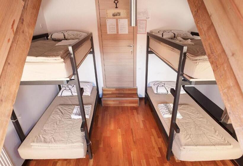 اتاق استاندارد چهارنفره با سرویس بهداشتی مشترک, Hostel Situla