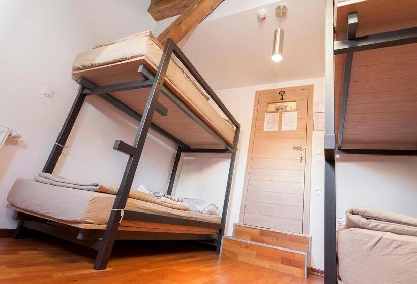 اتاق استاندارد چهارنفره با سرویس بهداشتی مشترک, Hostel Situla