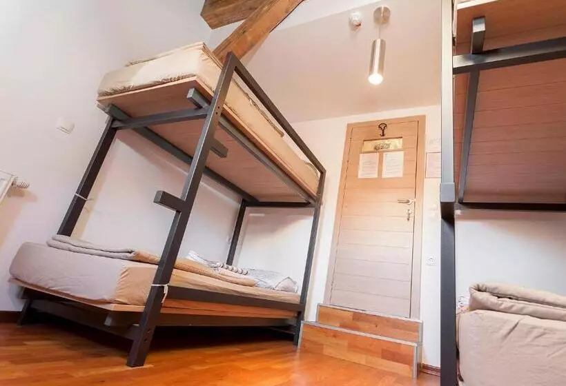 اتاق استاندارد چهارنفره با سرویس بهداشتی مشترک, Hostel Situla