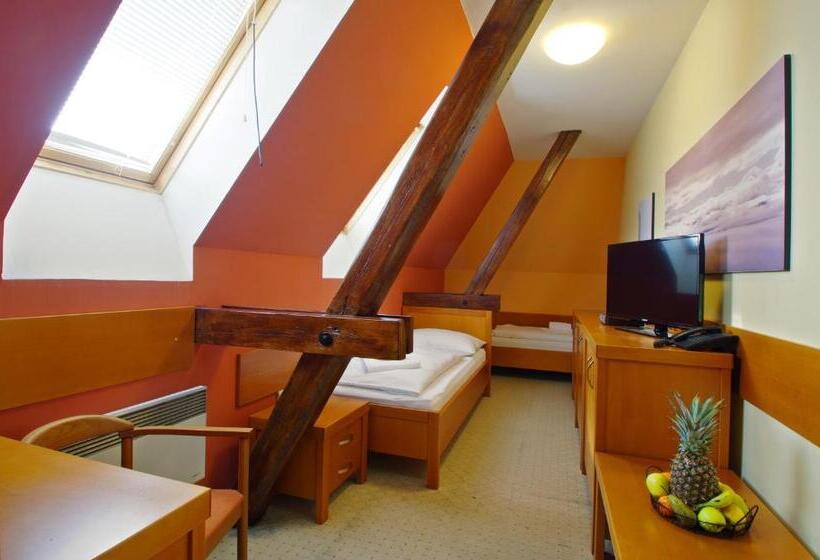 スタンダードシングルルーム, U Leva