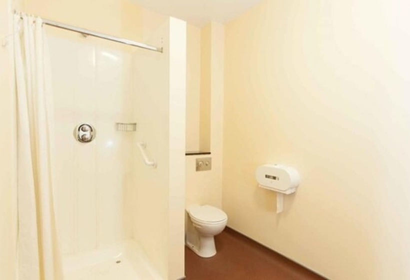 스탠다드 트리플 룸, Rowan Tree Hostel