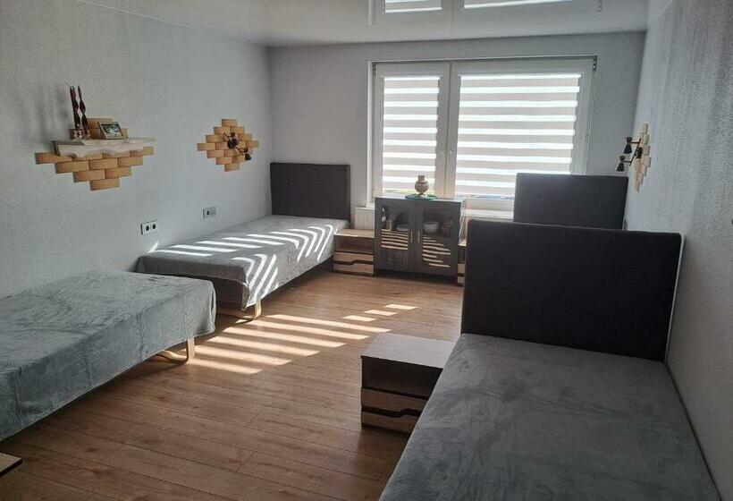 اتاق استاندارد چهار تخته, Stay At Svaja