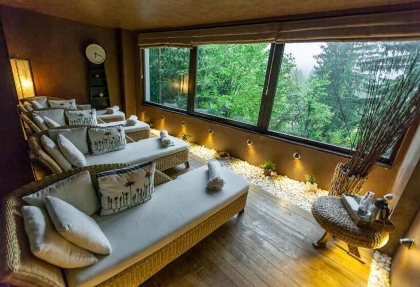 Апартаменты 2 Спальни, Alpin Resort Hotel Apartamentele 2403 2404 Proprietate Administrata De Gazda Privata