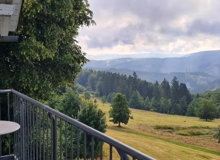 バルコニー付きスタンダードルーム, Pension Breitenborn