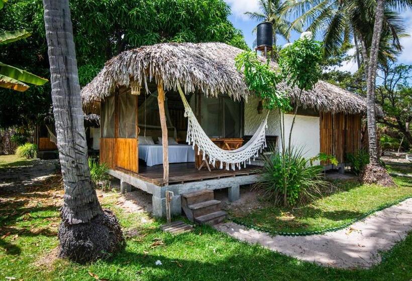 标准平房, Vila Do Junco