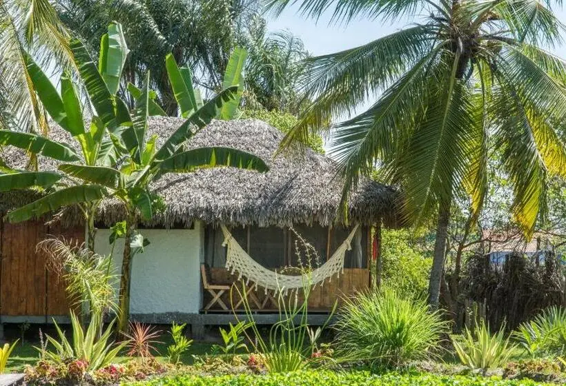 Standard-bungalow, Vila Do Junco