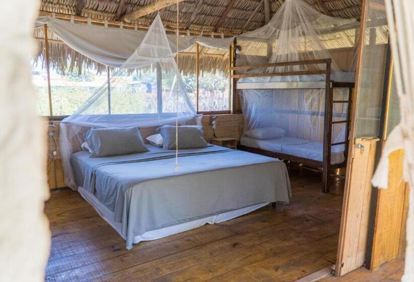 家庭洋房, Vila Do Junco