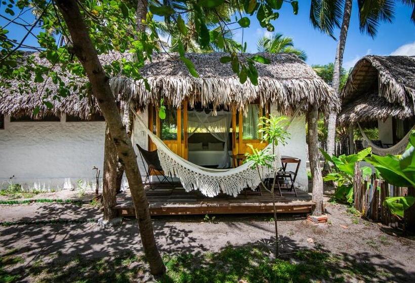 家庭套房, Vila Do Junco