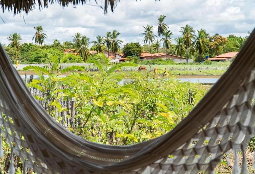 高级洋房, Vila Do Junco