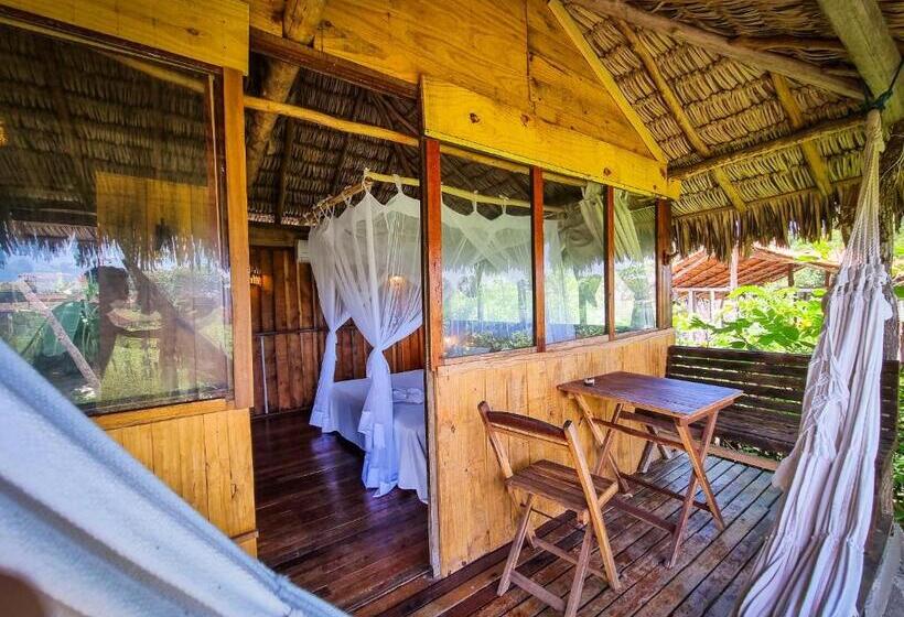 高级洋房, Vila Do Junco