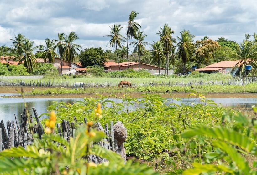 豪华洋房, Vila Do Junco