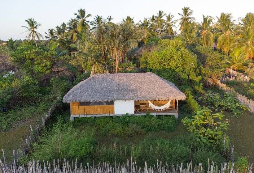 豪华洋房, Vila Do Junco