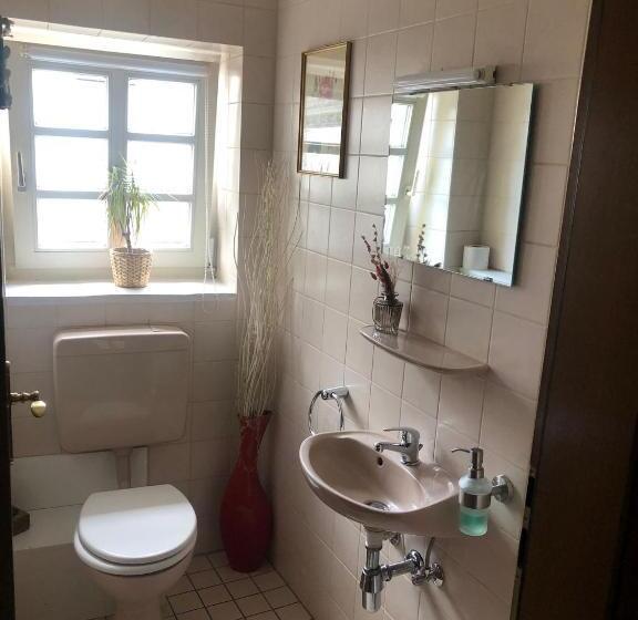 اتاق استاندارد با سرویس بهداشتی مشترک, Altstadt Pension Herborn