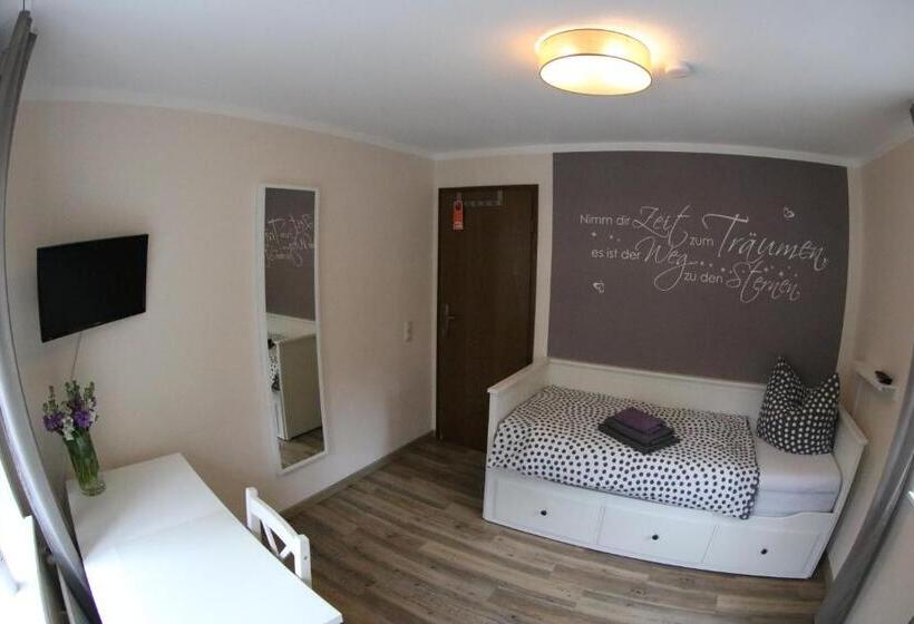 اتاق استاندارد با سرویس بهداشتی مشترک, Altstadt Pension Herborn
