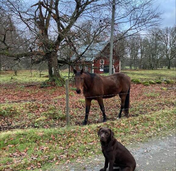 Номер Стандарт, Yxkullsund Säteri B&b   Manor & Estate Since 1662