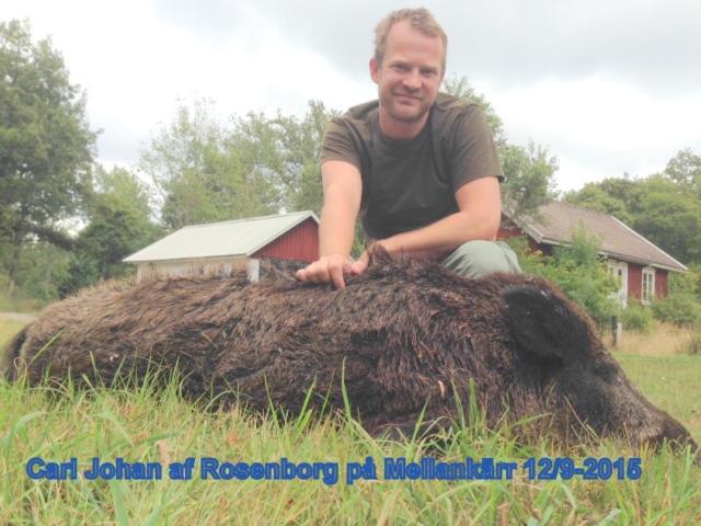 Стандартный Номер Кровать Кинг, Yxkullsund Säteri B&b   Manor & Estate Since 1662