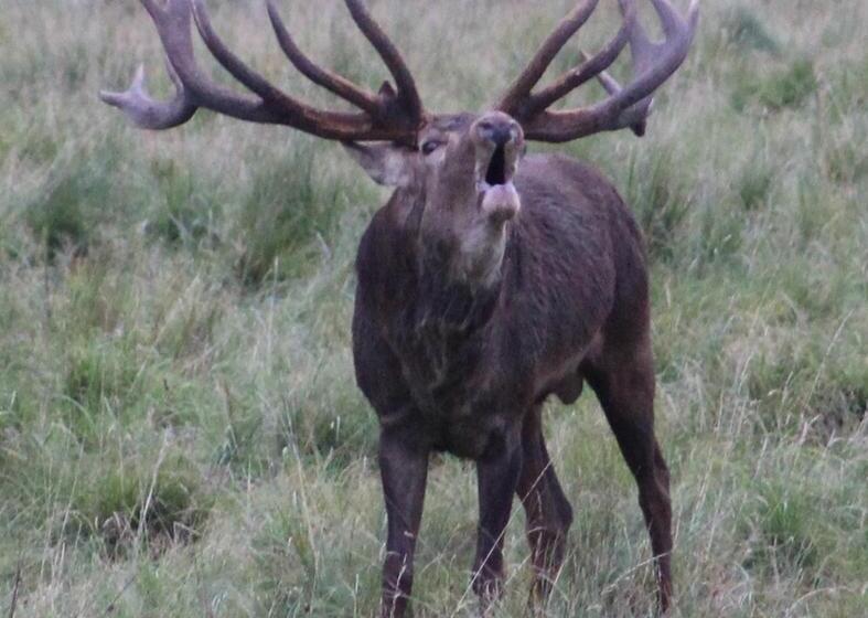 Стандартный Номер Кровать Кинг, Yxkullsund Säteri B&b   Manor & Estate Since 1662