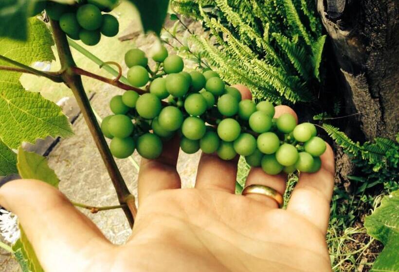 סוויטה נוף לגינה, Paz Na Montanha