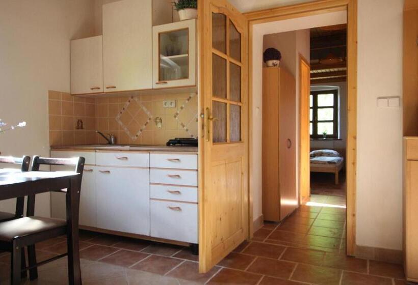 テラス付き１ベッドルームアパートメント, Penzion Stará škola