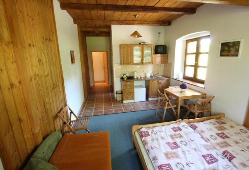 １ベッドルームアパートメント, Penzion Stará škola