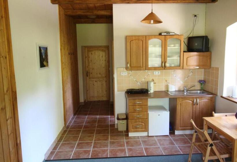 １ベッドルームアパートメント, Penzion Stará škola