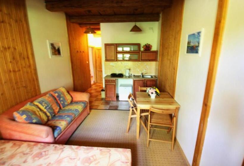 １ベッドルームアパートメント, Penzion Stará škola