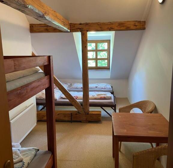 浴室共有スタンダード４人用ルーム, Penzion Stará škola