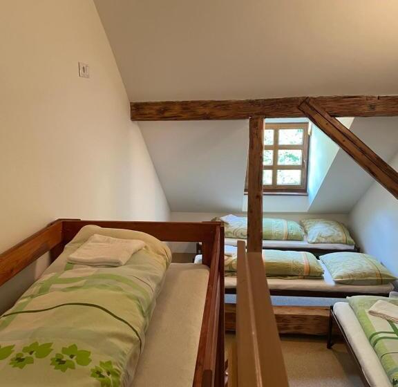 浴室共有スタンダード４人用ルーム, Penzion Stará škola