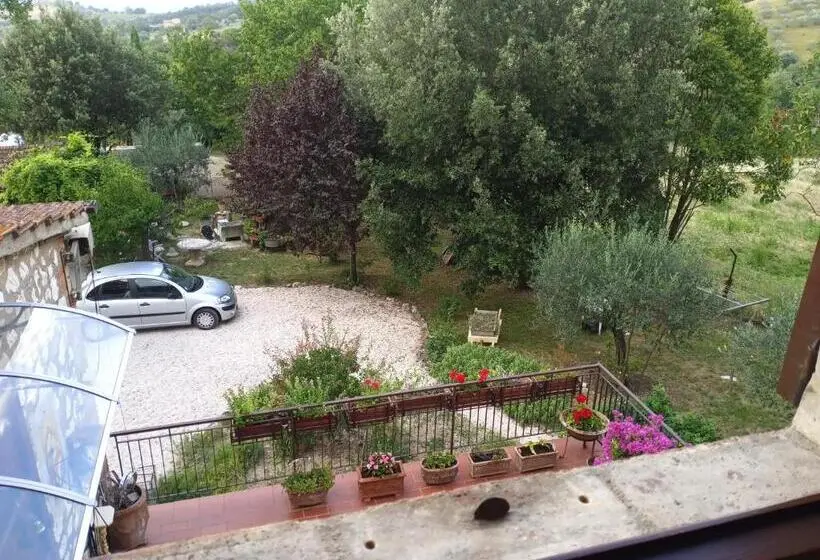 Quarto standard, Tra Grilli E Cicale