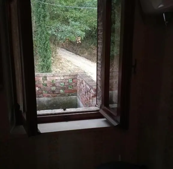 Quarto standard, Tra Grilli E Cicale