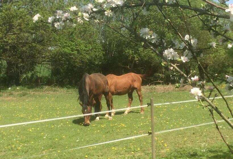 منزل 3 غرف نوم, Une Maison, Un Jardin