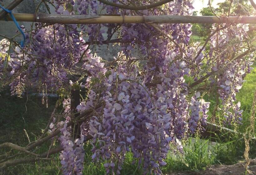 منزل 3 غرف نوم, Une Maison, Un Jardin
