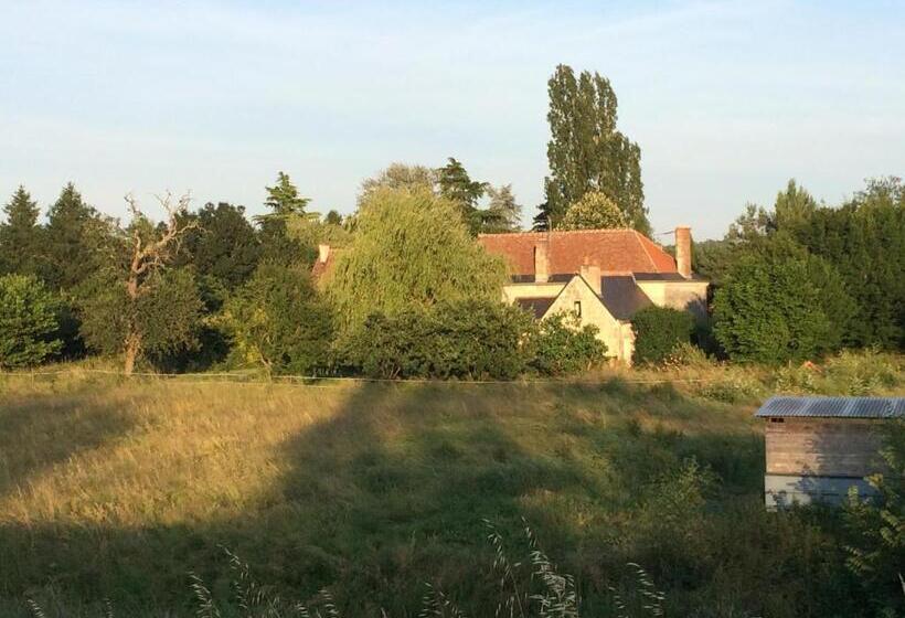 إستوديو قياسى مطلّ علي الحديقة, Une Maison, Un Jardin