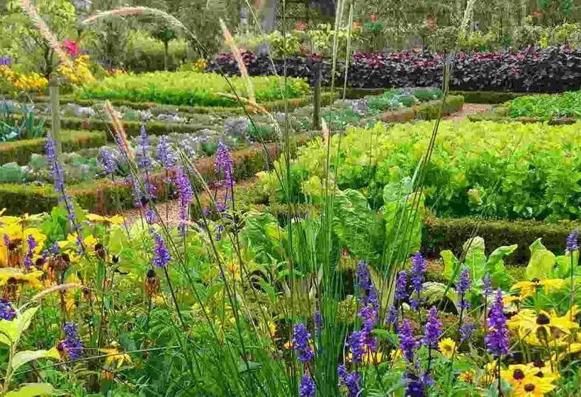 إستوديو قياسى مطلّ علي الحديقة, Une Maison, Un Jardin