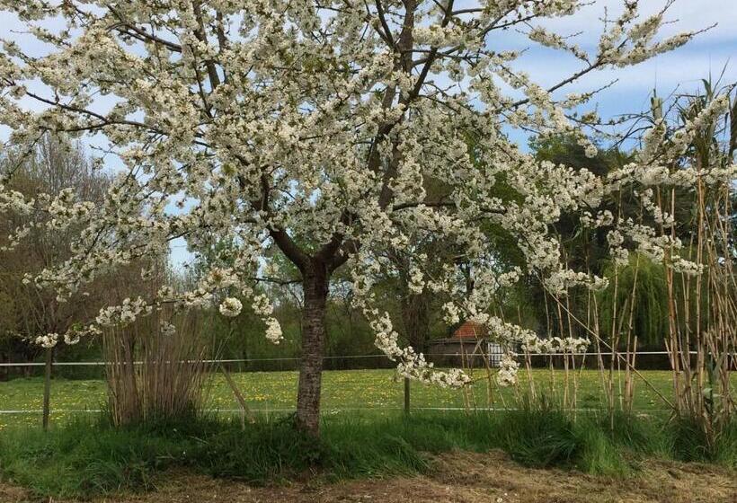 جناح مطلّ علي الحديقة, Une Maison, Un Jardin