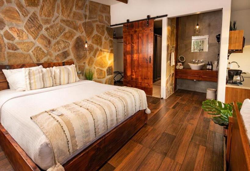 スーペリアー１ベッドルームビラ, Brisa Del Valle Hotel Boutique