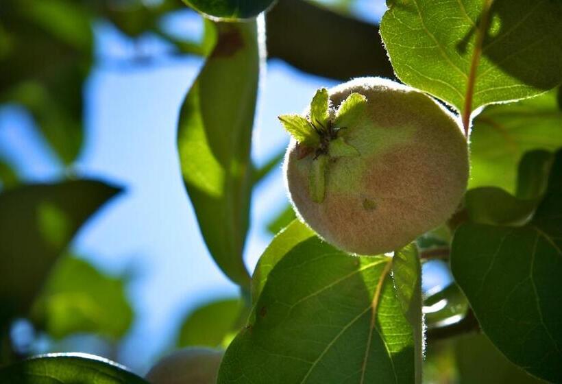 标准间带游泳池, B&b Casa Caleta