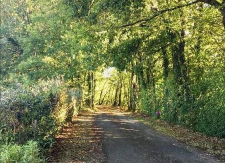 家庭房带园景, Chambre D Hôtes La Cavaille