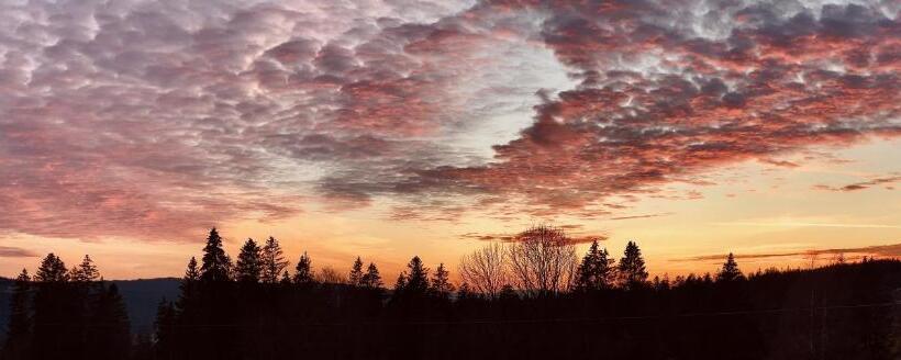 בקתת חדר, Hôtel Restaurant Les Cernets Swiss Lodge Ssh