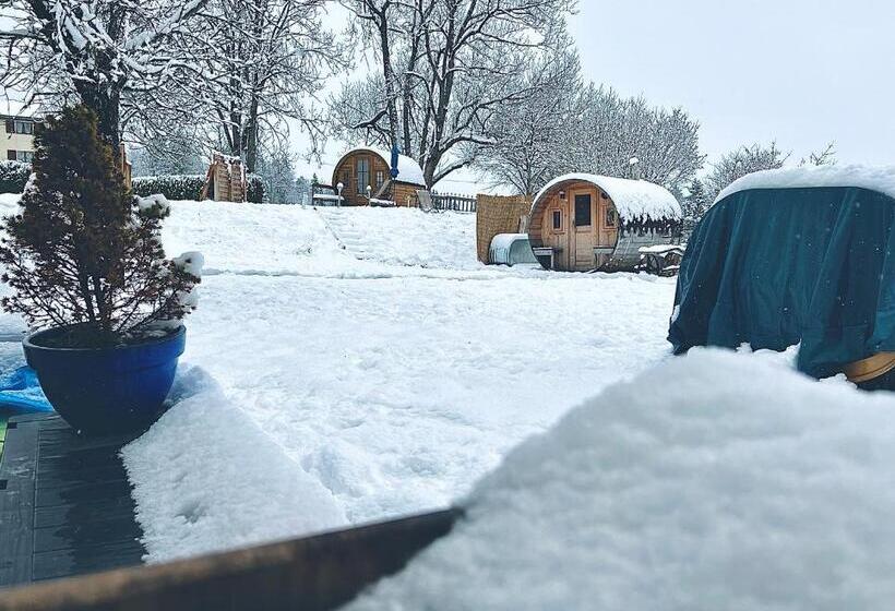 Шале 1 Спальня, Hôtel Restaurant Les Cernets Swiss Lodge Ssh