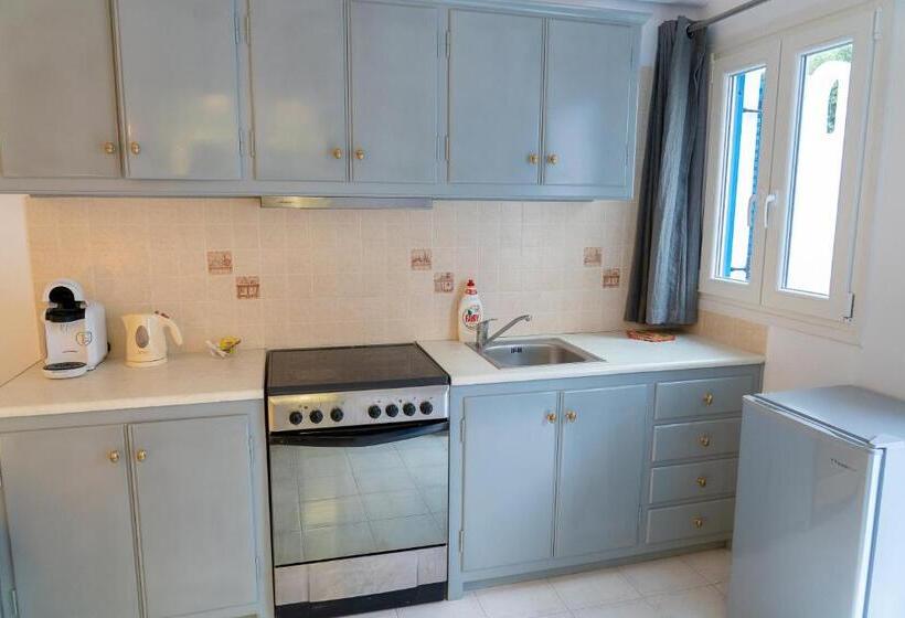 スタンダードスタジオ, Anna S