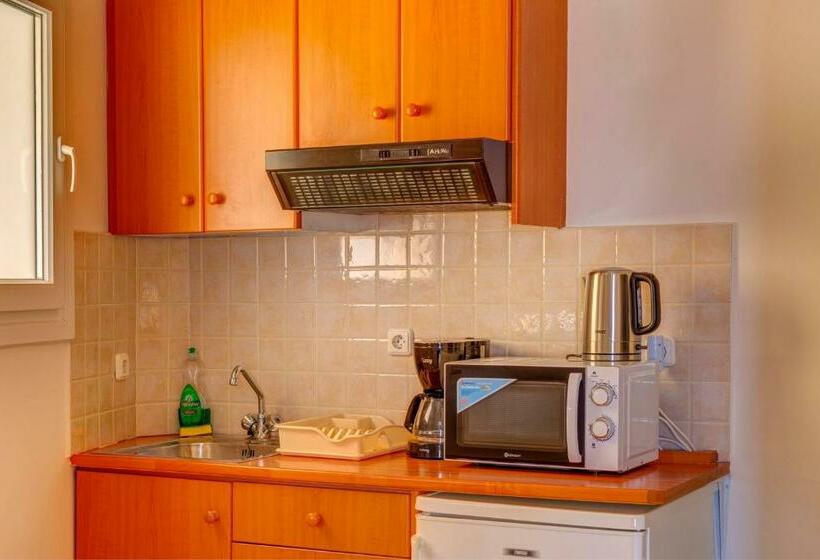 آپارتمان 1 خوابه با چشمانداز جانبی دریا, Ethrion