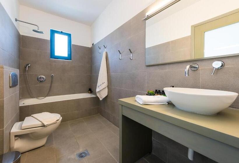 スタンダードスタジオ, Olympia Mare