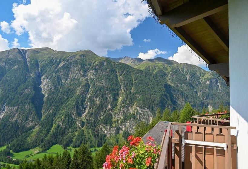 غرفة قياسية مطلة على الجبل, Pension Sonnleitner