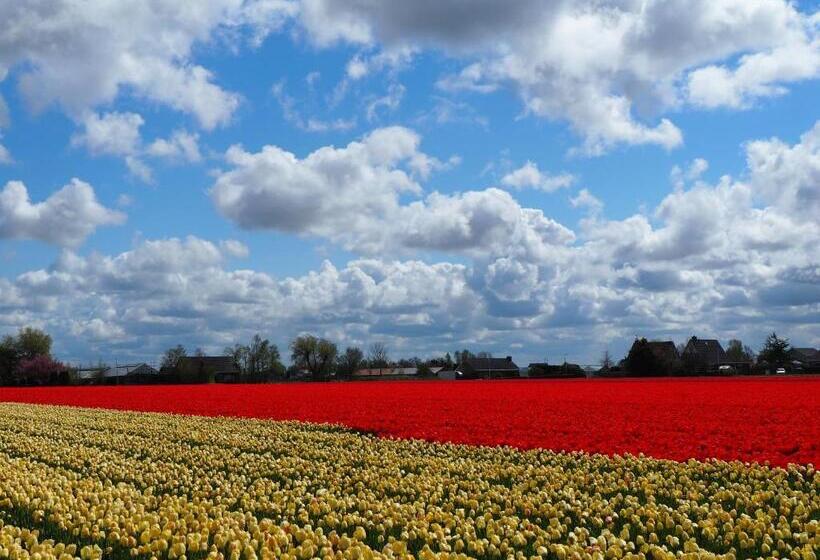 Quarto Quádruplo Estandar, Polderlodge