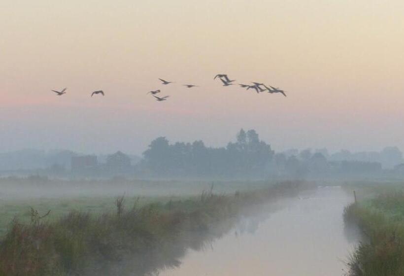 Quarto Quádruplo Estandar, Polderlodge