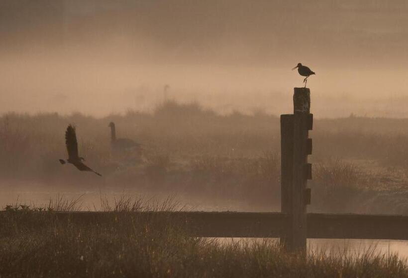 Quarto Familiar, Polderlodge