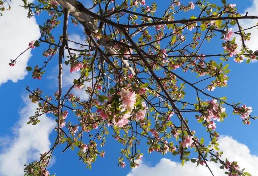 Quarto Familiar, Polderlodge